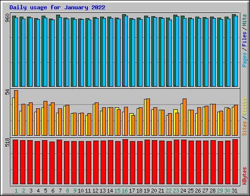 Daily usage for January 2022