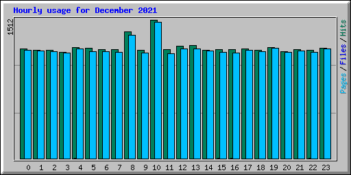 Hourly usage for December 2021