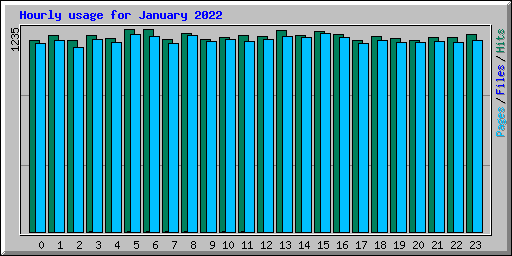 Hourly usage for January 2022