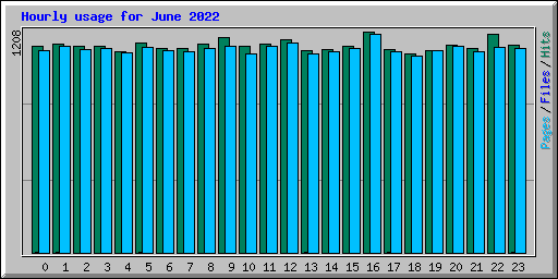 Hourly usage for June 2022