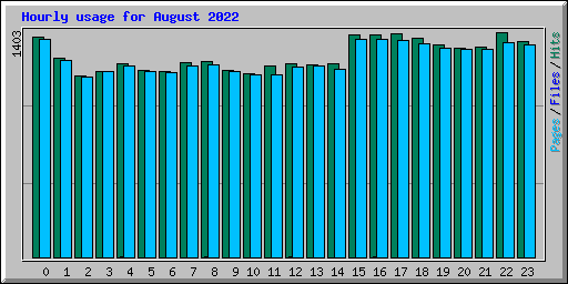 Hourly usage for August 2022